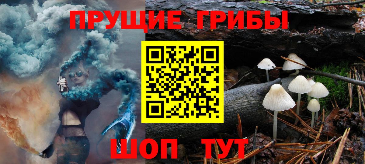 Галлюциногенные грибы Psilocybine cubensis  Вход с VPN  наркотики  Можга 